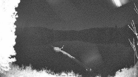 Image from 2025-05-04
