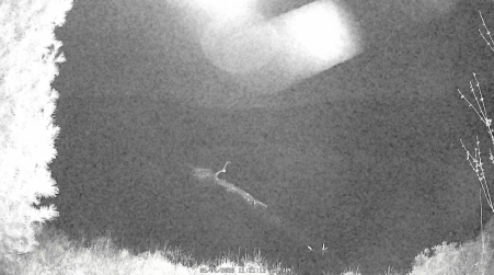 Image from 2025-05-04