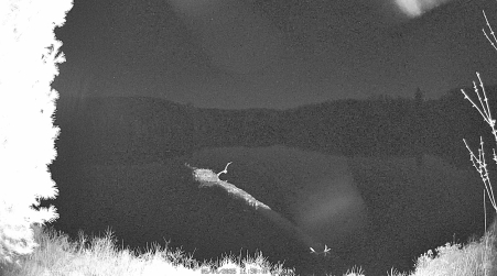 Image from 2025-05-04