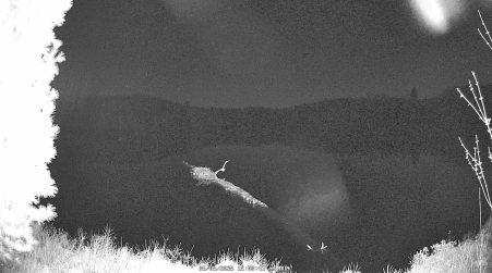 Image from 2025-05-05