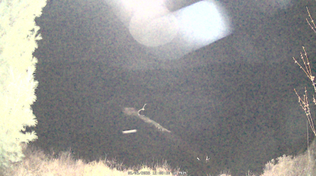 Image from 2025-05-05