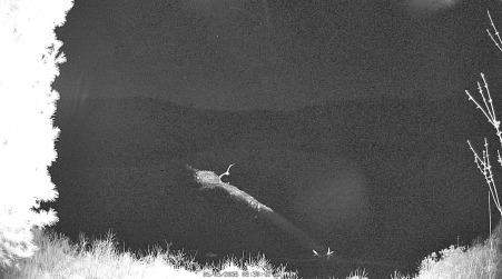 Image from 2025-05-05