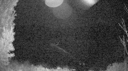Image from 2025-05-05