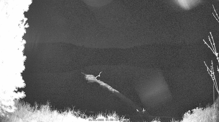 Image from 2025-05-05