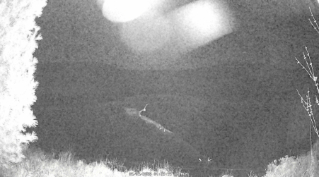 Image from 2025-05-05