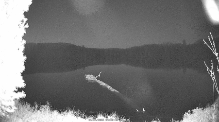 Image from 2025-05-05