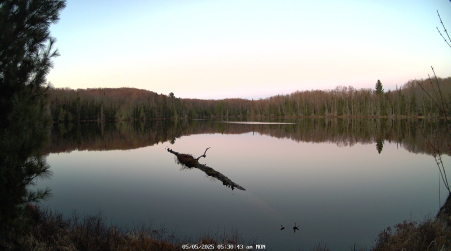 Image from 2025-05-05