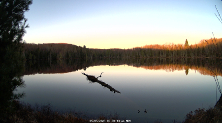 Image from 2025-05-05