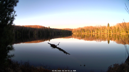 Image from 2025-05-05