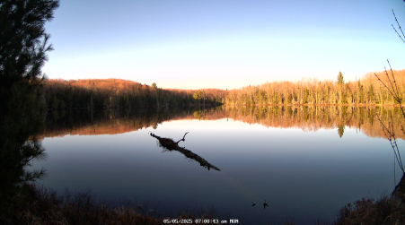 Image from 2025-05-05