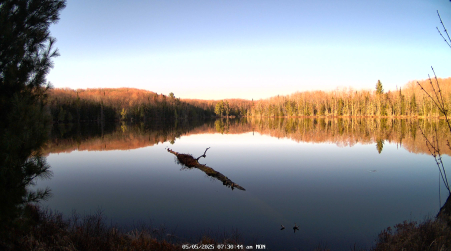 Image from 2025-05-05