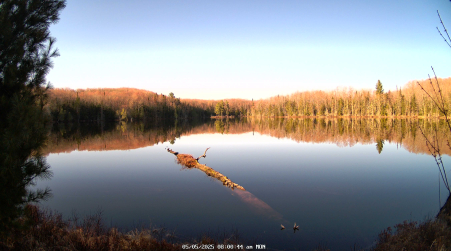 Image from 2025-05-05