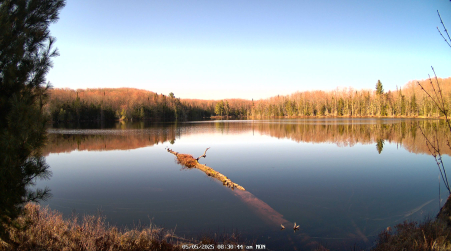 Image from 2025-05-05
