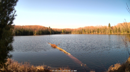 Image from 2025-05-05