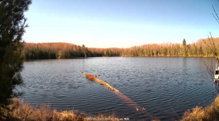 Image from 2025-05-05