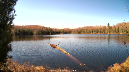Image from 2025-05-05