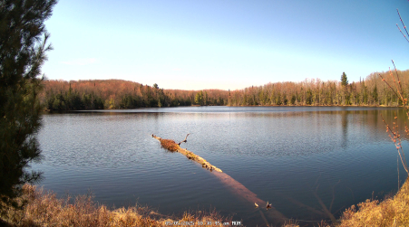 Image from 2025-05-05