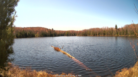 Image from 2025-05-05