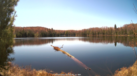 Image from 2025-05-05