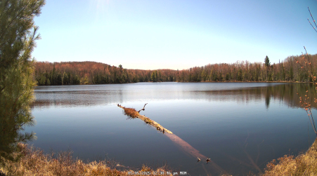 Image from 2025-05-05