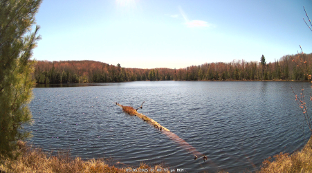 Image from 2025-05-05