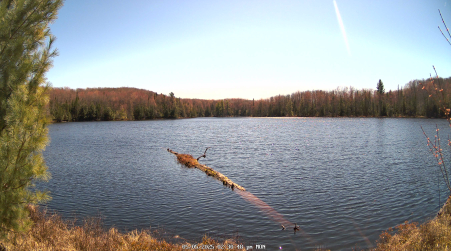 Image from 2025-05-05