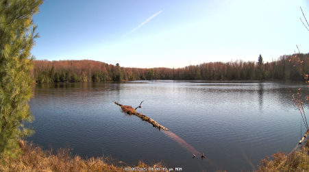 Image from 2025-05-05