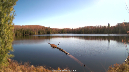 Image from 2025-05-05