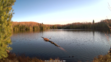 Image from 2025-05-05