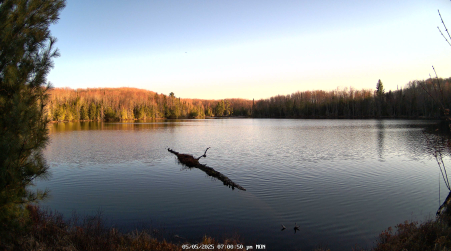 Image from 2025-05-05