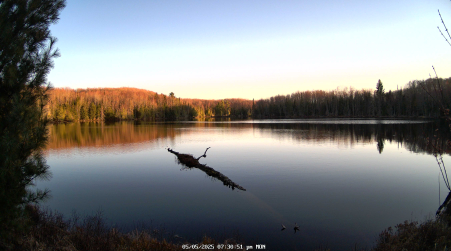 Image from 2025-05-05