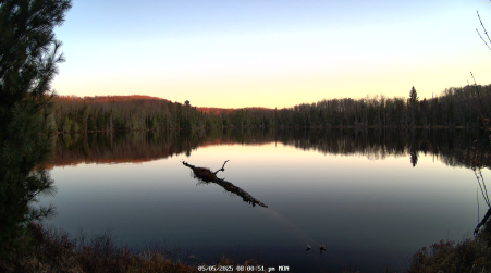 Image from 2025-05-05