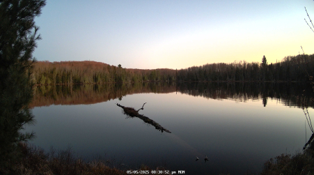 Image from 2025-05-05