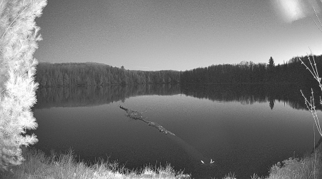 Image from 2025-05-05