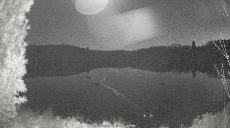 Image from 2025-05-05