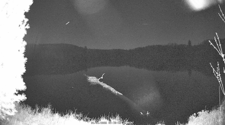 Image from 2025-05-05