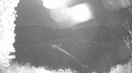Image from 2025-05-05