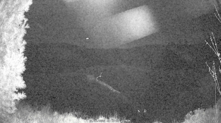 Image from 2025-05-05