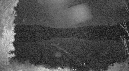 Image from 2025-05-05