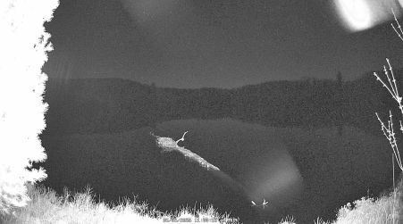 Image from 2025-05-05