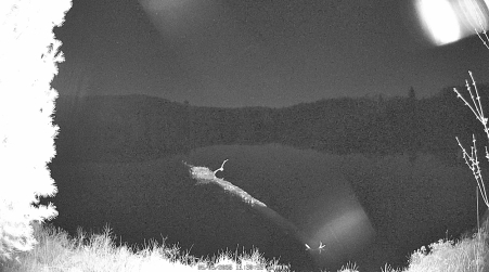Image from 2025-05-05