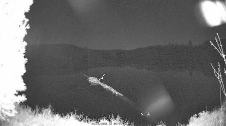 Image from 2025-05-06