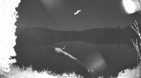 Image from 2025-05-06