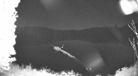 Image from 2025-05-06