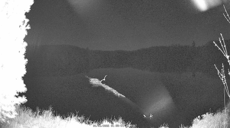 Image from 2025-05-06