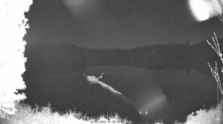 Image from 2025-05-06