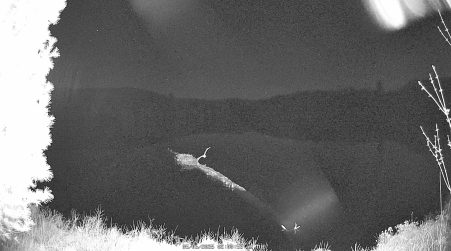 Image from 2025-05-06