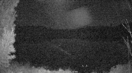 Image from 2025-05-06