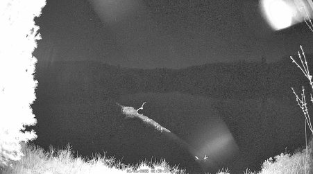 Image from 2025-05-06
