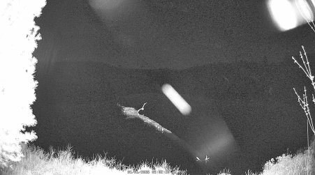 Image from 2025-05-06